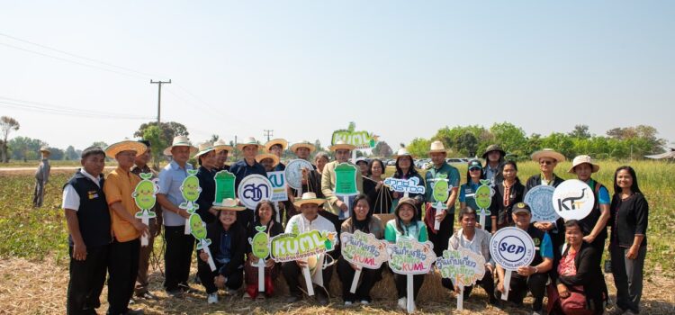 สท. จับมือพันธมิตร จัดงานเก็บเกี่ยวถั่วเขียว KUML พร้อมเปิดตัวศูนย์เรียนรู้การผลิตเมล็ดพันธุ์ระดับชุมชนศรีสะเกษ