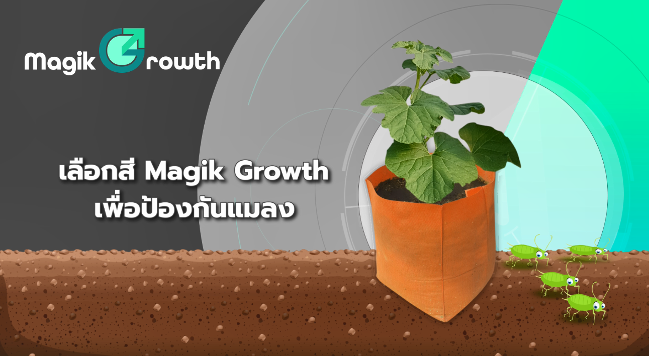 ถุงปลูก Magik Growth 