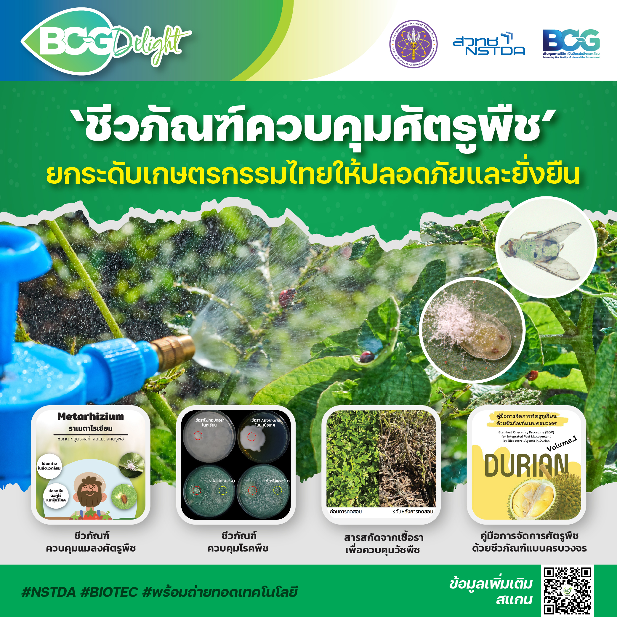 ‘ชีวภัณฑ์ควบคุมศัตรูพืช’ ยกระดับเกษตรกรรมไทยให้ปลอดภัยและยั่งยืน