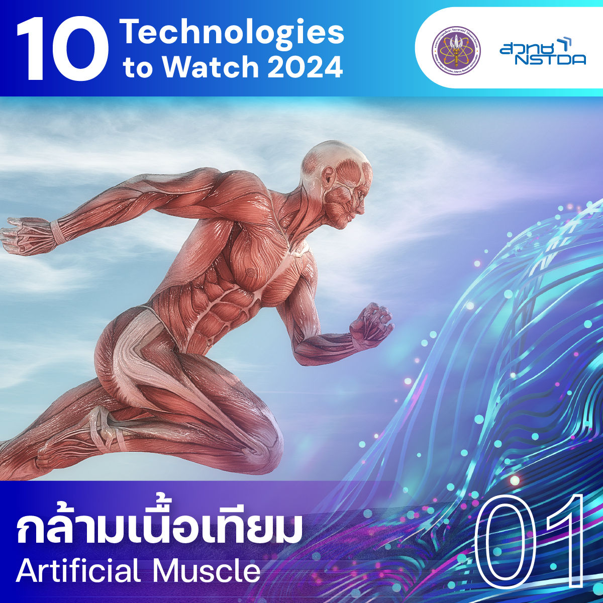 10 Technologies to Watch 2024: กล้ามเนื้อเทียม (Artificial Muscle)