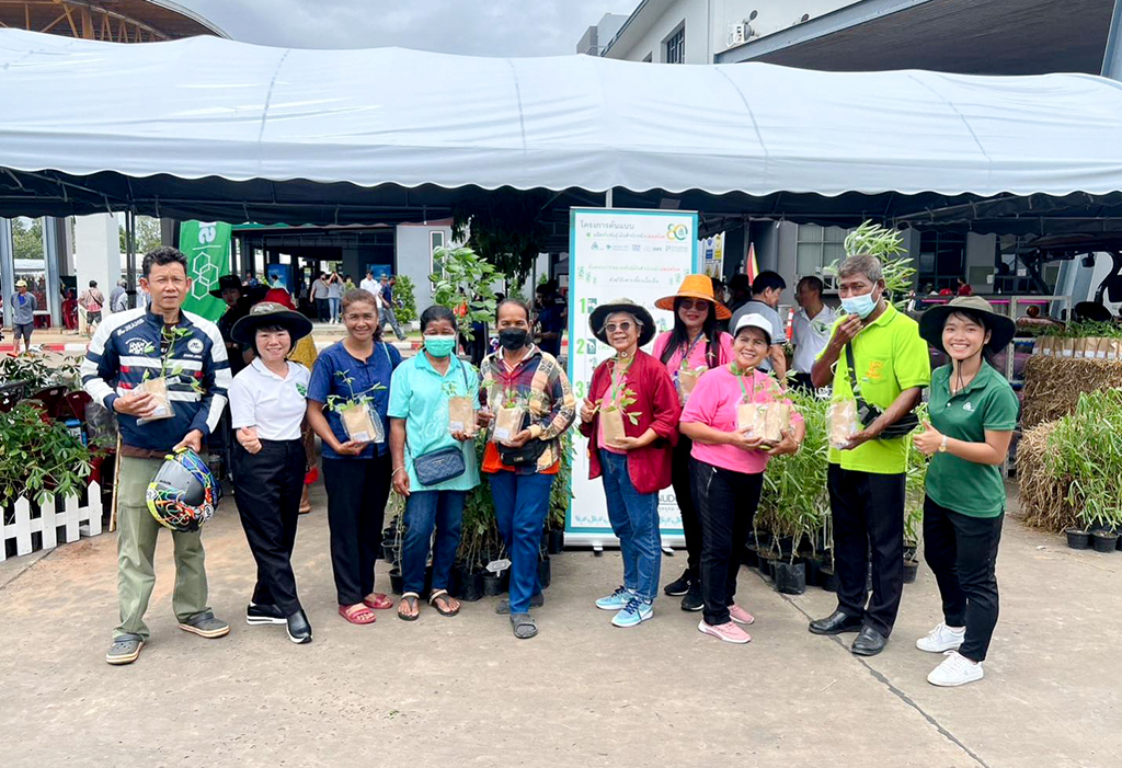 สานพลังพิชิต ฝ่าวิกฤตโรคใบด่างมันสำปะหลัง