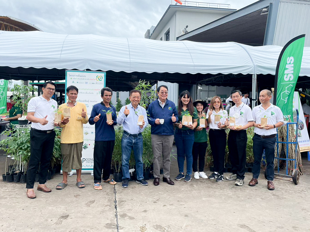 สานพลังพิชิต ฝ่าวิกฤตโรคใบด่างมันสำปะหลัง