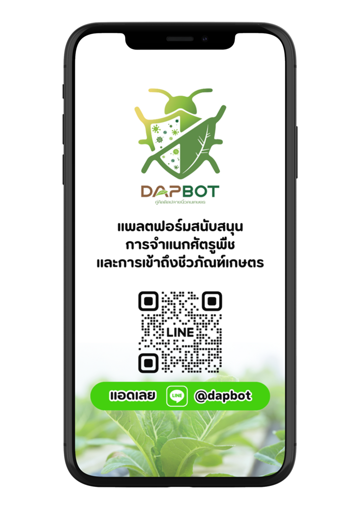 เกษตรกรกดไลก์ ! นักวิจัยส่ง “DAPBot” แพลตฟอร์มช่วยปราบศัตรูพืชผ่านไลน์ คู่คิดติดปลายนิ้วคนเกษตร