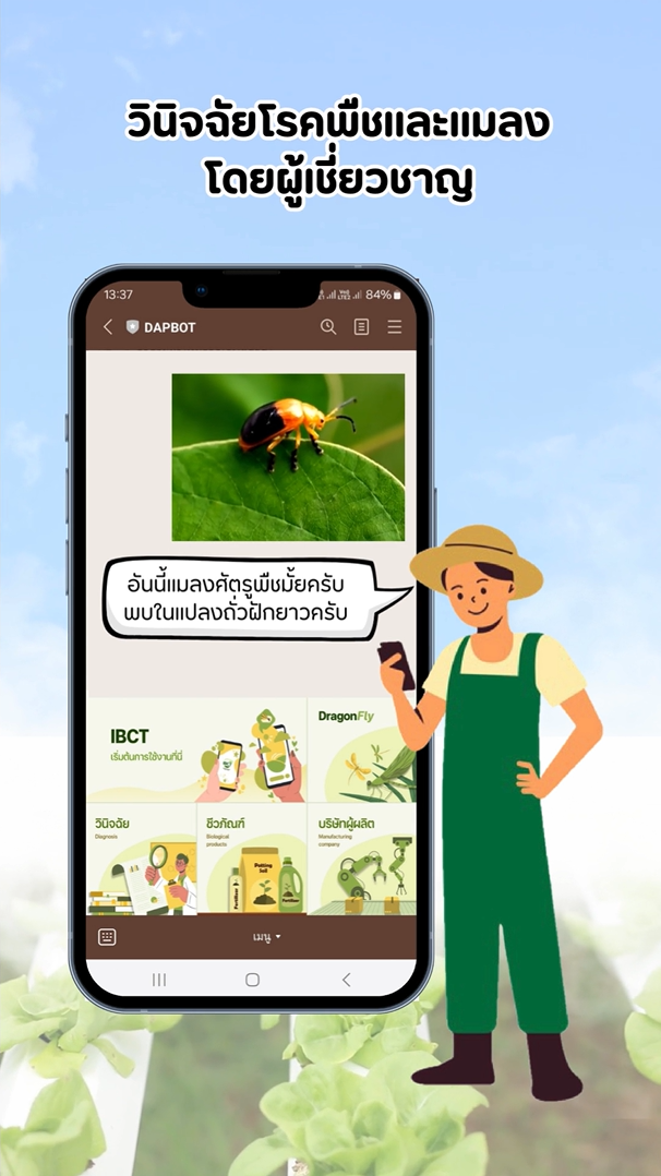 เกษตรกรกดไลก์ ! นักวิจัยส่ง “DAPBot” แพลตฟอร์มช่วยปราบศัตรูพืชผ่านไลน์ คู่คิดติดปลายนิ้วคนเกษตร