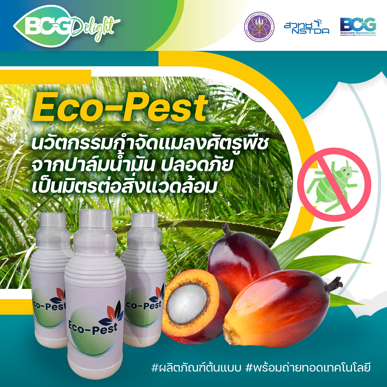 พลิกวิกฤตเป็นโอกาส ! นักวิจัยพัฒนา “Eco-Pest” สารเสริมประสิทธิภาพทางการเกษตรสำหรับควบคุมกำจัดแมลงจากปาล์มน้ำมัน ปลอดภัย เป็นมิตรต่อสิ่งแวดล้อม