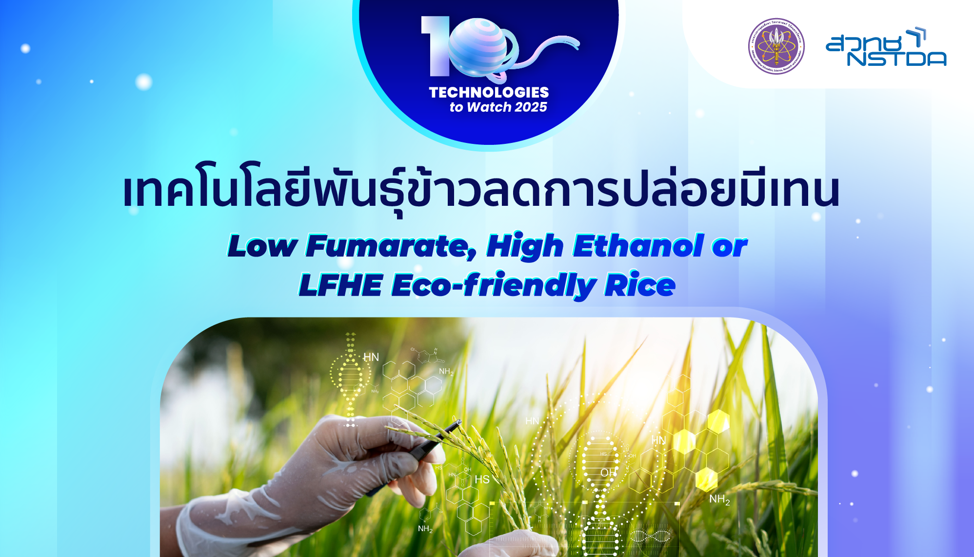 10 Technologies to Watch 2025: เทคโนโลยีพันธุ์ข้าวลดการปล่อยมีเทน (Low Fumarate, High Ethanol or LFHE Eco-friendly Rice)