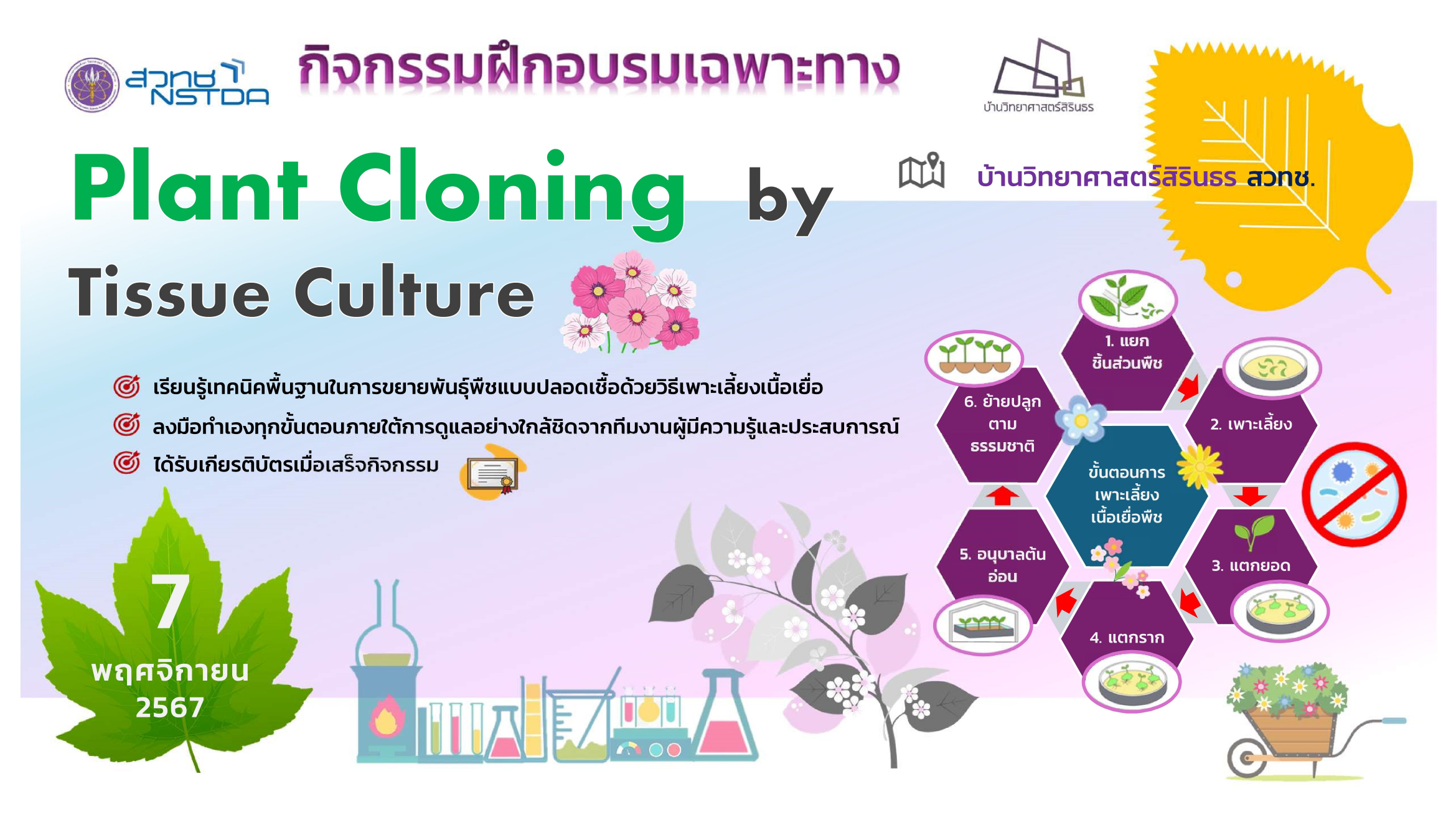 Plant Cloning by Tissue Culture